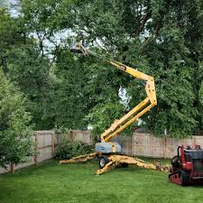 Best Storm Damage Tree Cleanup  in Cadott, WI